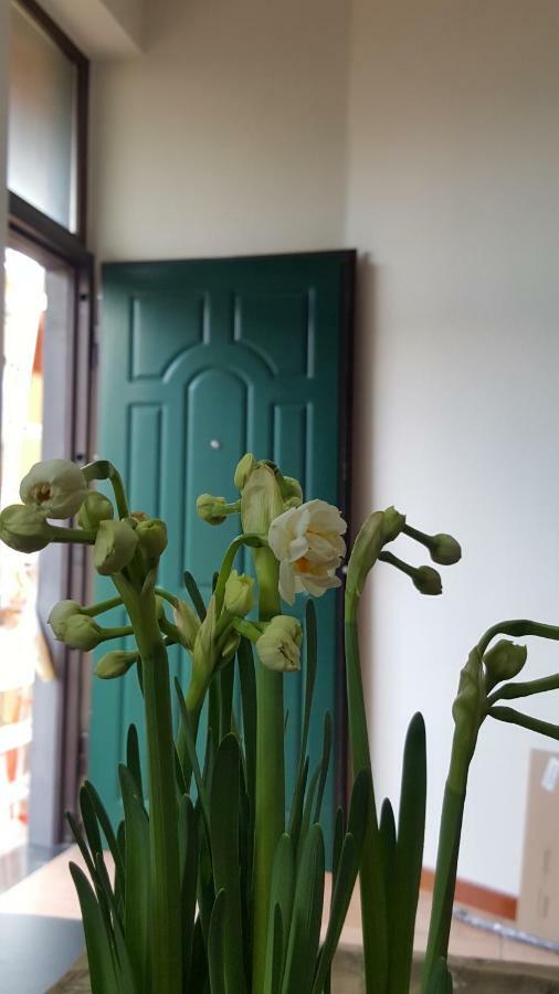 Il Giardino Sul Corso Apartment สกาฟาติ ภายนอก รูปภาพ