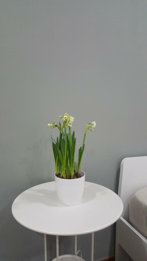 Il Giardino Sul Corso Apartment สกาฟาติ ภายนอก รูปภาพ